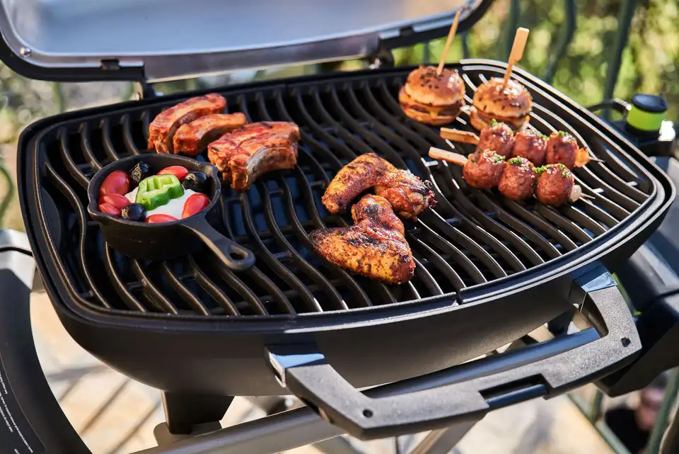 Barbecues - photo 5